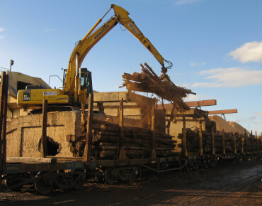 Excavadoras con Garras Forestales